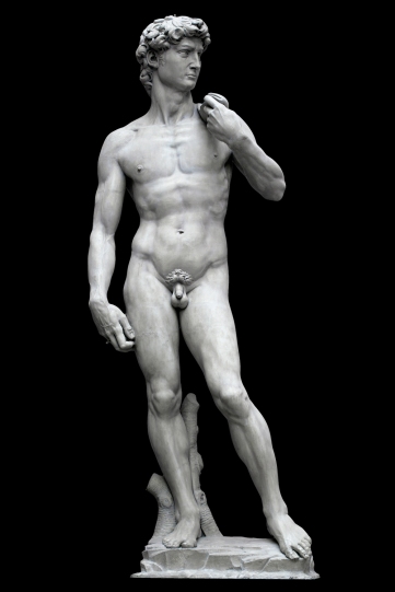 Michelangelo's David, © V&A Museum